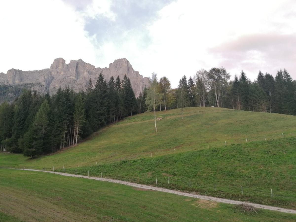 Siror Baita Pra Petina Pale Di San Martino מראה חיצוני תמונה
